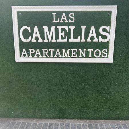 Yumbo Appartamenti Las Camelias Playa Del Ingles Εξωτερικό φωτογραφία
