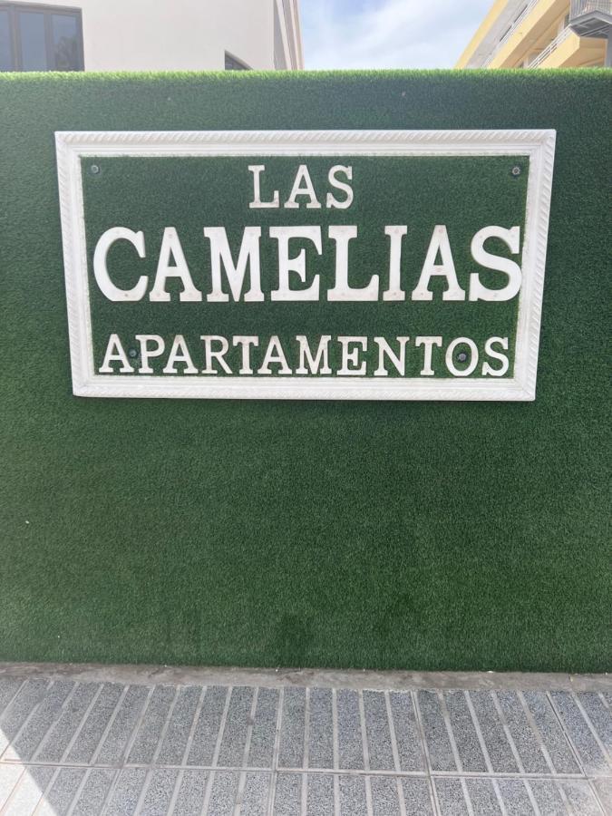 Yumbo Appartamenti Las Camelias Playa Del Ingles Εξωτερικό φωτογραφία